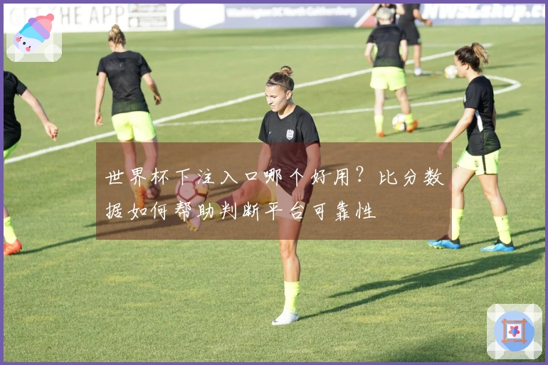 世界杯下注入口哪个好用？比分数据如何帮助判断平台可靠性