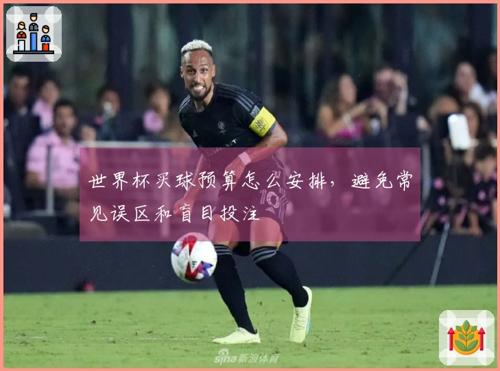 世界杯买球预算怎么安排，避免常见误区和盲目投注