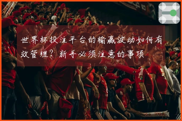 世界杯投注平台的输赢波动如何有效管理？新手必须注意的事项