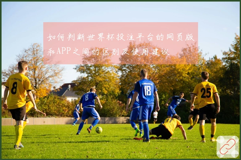 如何判断世界杯投注平台的网页版和APP之间的区别及使用建议