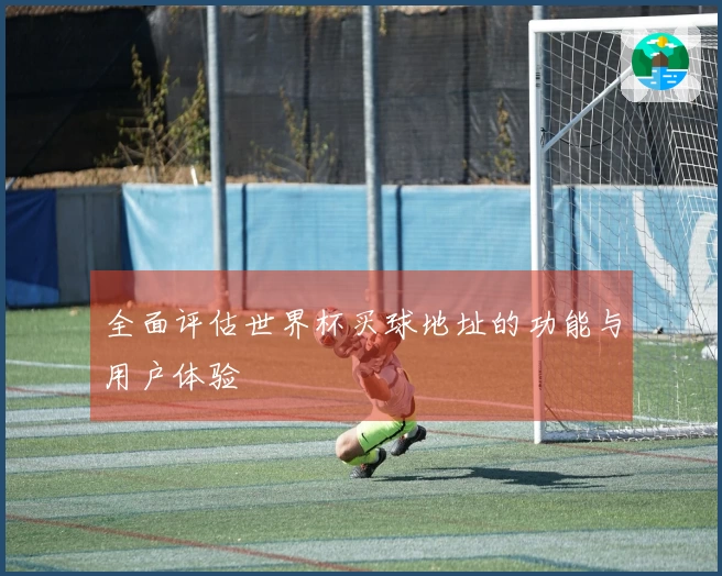 全面评估世界杯买球地址的功能与用户体验