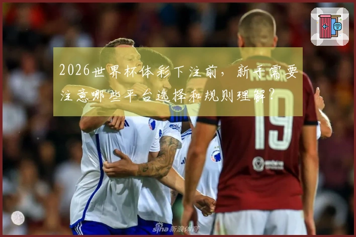 2026世界杯体彩下注前，新手需要注意哪些平台选择和规则理解？