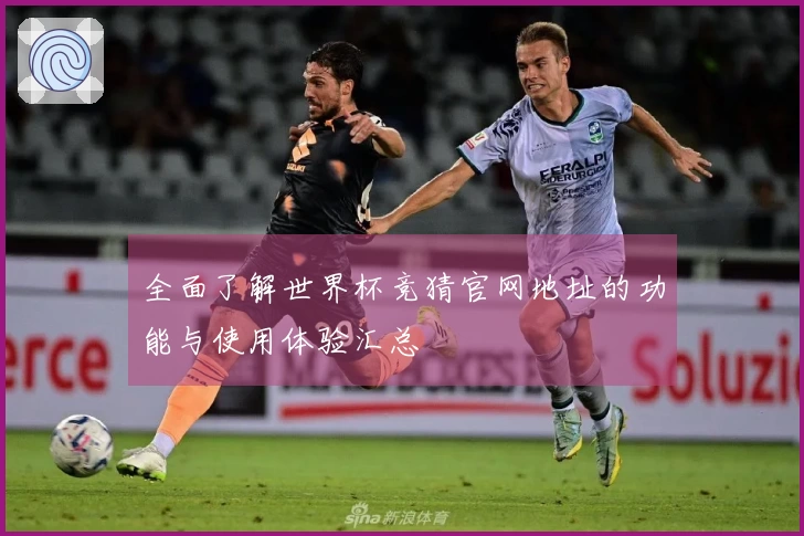 全面了解世界杯竞猜官网地址的功能与使用体验汇总