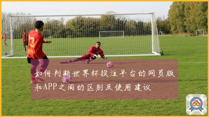 如何判断世界杯投注平台的网页版和APP之间的区别及使用建议