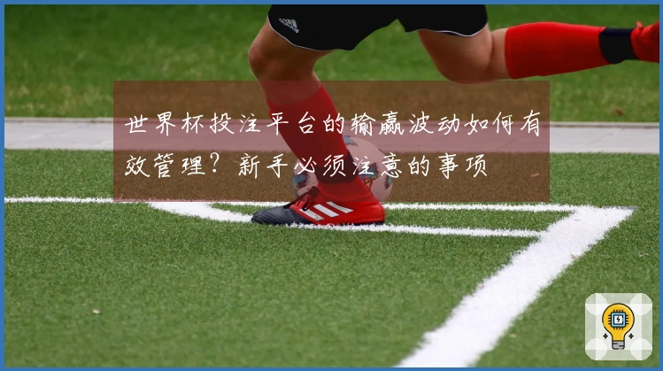 世界杯投注平台的输赢波动如何有效管理？新手必须注意的事项
