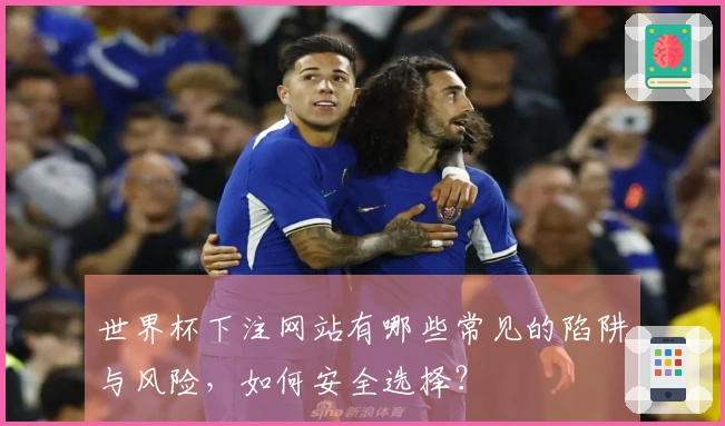 世界杯下注网站有哪些常见的陷阱与风险，如何安全选择？