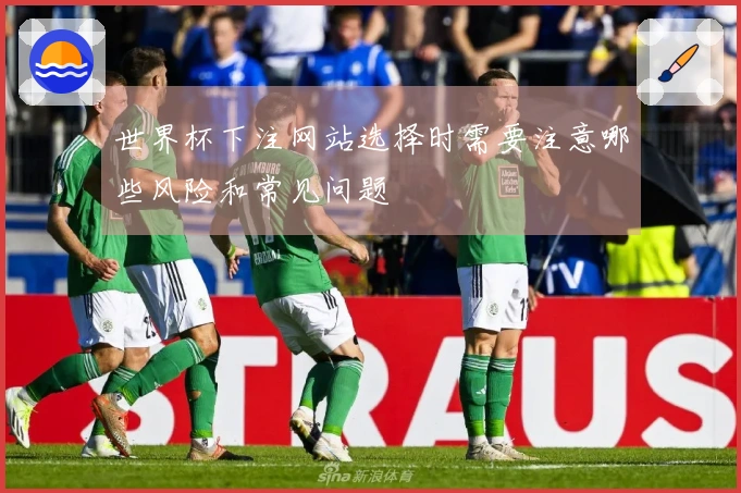 世界杯下注网站选择时需要注意哪些风险和常见问题 알려주세요