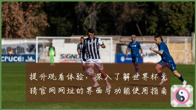 提升观看体验，深入了解世界杯竞猜官网网址的界面与功能使用指南