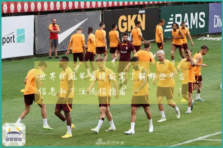 世界杯冠军竞猜前需了解哪些平台信息和下注流程指南