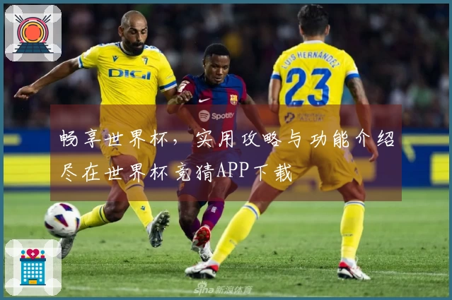 畅享世界杯,实用攻略与功能介绍尽在世界杯竞猜APP下载