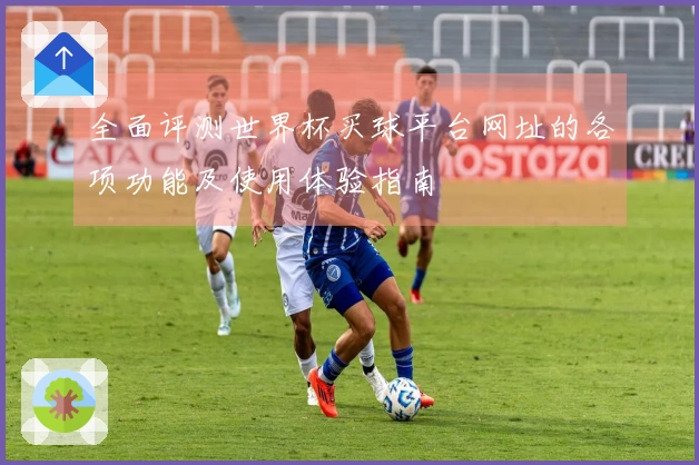 全面评测世界杯买球平台网址的各项功能及使用体验指南