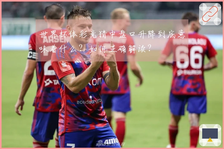 世界杯体彩竞猜中盘口升降到底意味着什么？如何正确解读？