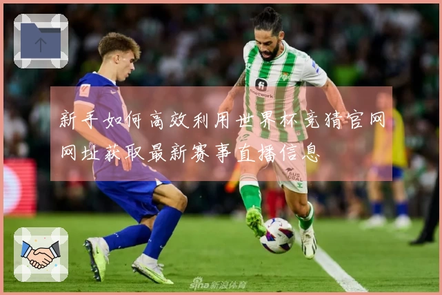 新手如何高效利用世界杯竞猜官网网址获取最新赛事直播信息