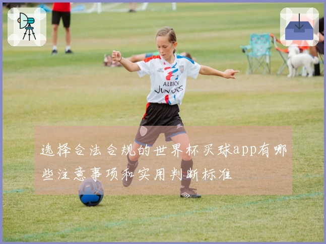 选择合法合规的世界杯买球app有哪些注意事项和实用判断标准