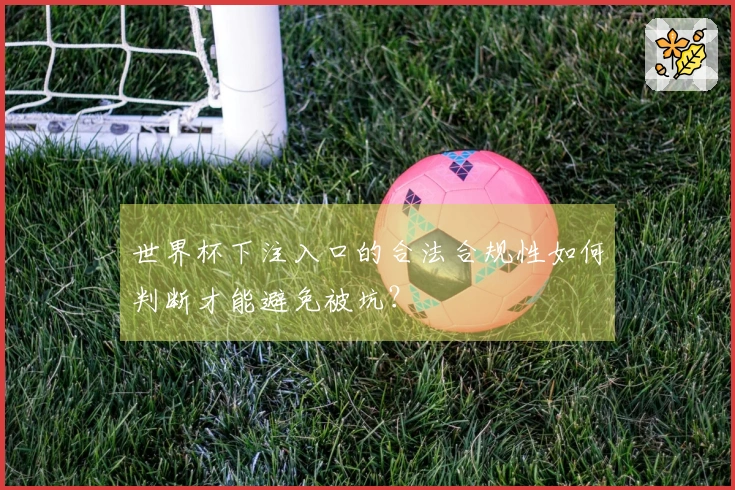 世界杯下注入口的合法合规性如何判断才能避免被坑?