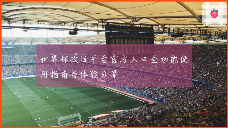 世界杯投注平台官方入口全功能使用指南与体验分享