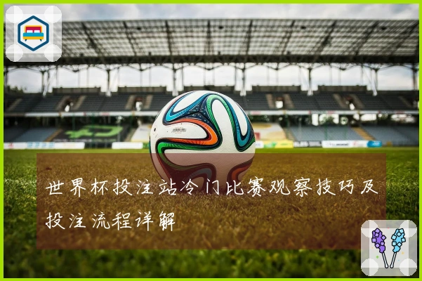 世界杯投注站冷门比赛观察技巧及投注流程详解