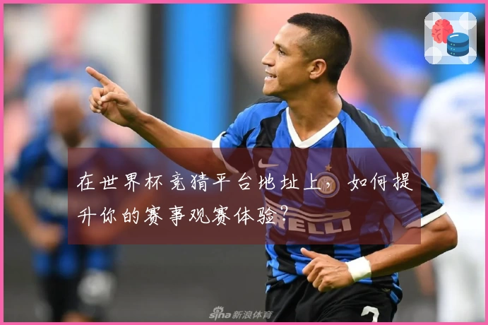 在世界杯竞猜平台地址上，如何提升你的赛事观赛体验？
