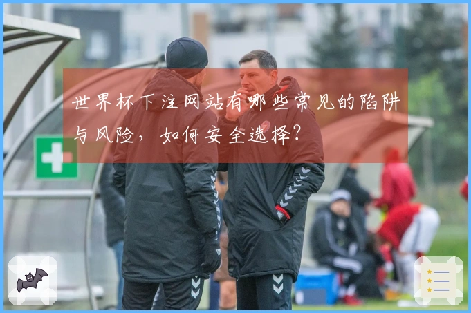 世界杯下注网站有哪些常见的陷阱与风险,如何安全选择?