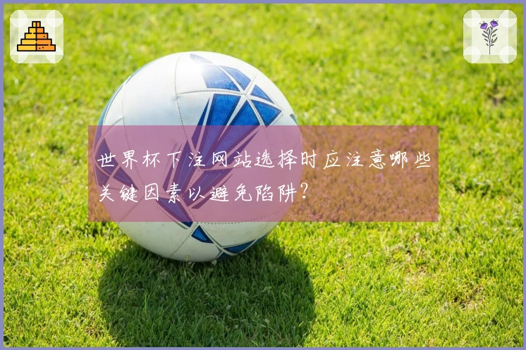 世界杯下注网站选择时应注意哪些关键因素以避免陷阱？
