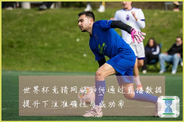 世界杯竞猜网站如何通过直播数据提升下注准确性与成功率