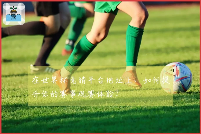 在世界杯竞猜平台地址上，如何提升你的赛事观赛体验？