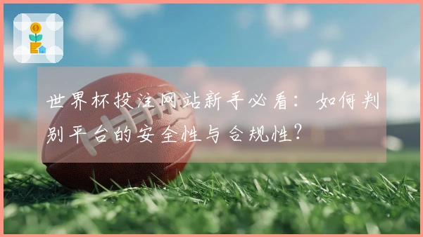 世界杯投注网站新手必看：如何判别平台的安全性与合规性？