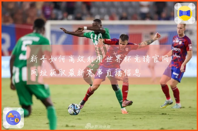 新手如何高效利用世界杯竞猜官网网址获取最新赛事直播信息