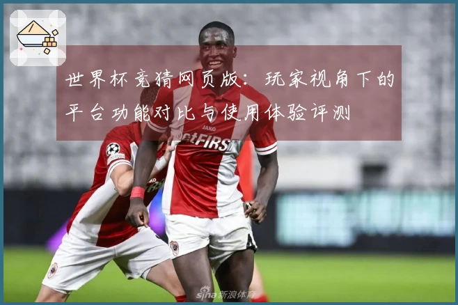 世界杯竞猜网页版：玩家视角下的平台功能对比与使用体验评测